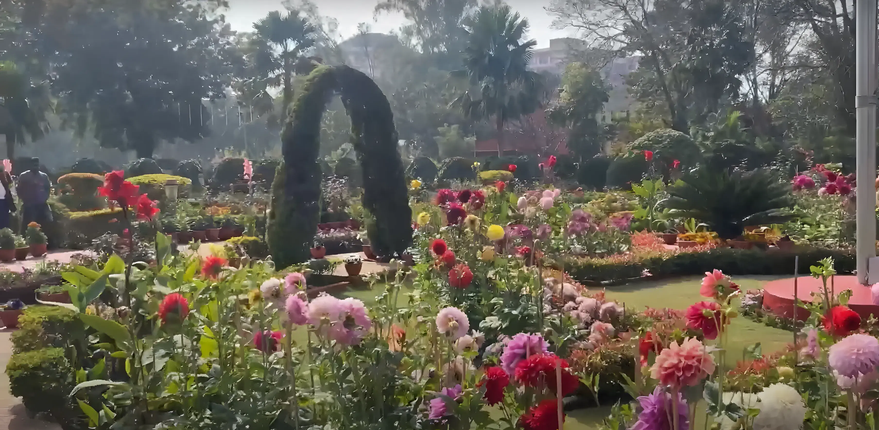 DMS, IIT Dhanbad Campus photo 13